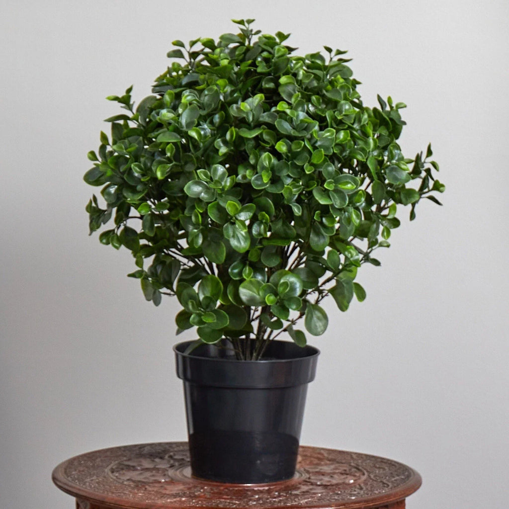 28" Peperomia Artificial Plant UV (Indoor/Outdoor) Home Decor.
