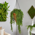45” Gleditsia Artificial Plant in Hanging Basket UV (Indoor/Outdoor)